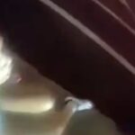 Arizona Cheerleader’s Viral Arrest Sparks National Debate Over Police Tactics Arizona Cheerleader’s Viral Arrest Sparks National Debate Over Police Tactics