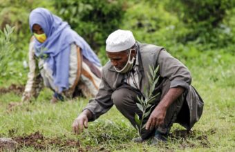 Ethiopia’s 50 Billion Tree Initiative Sparks Hope and Skepticism