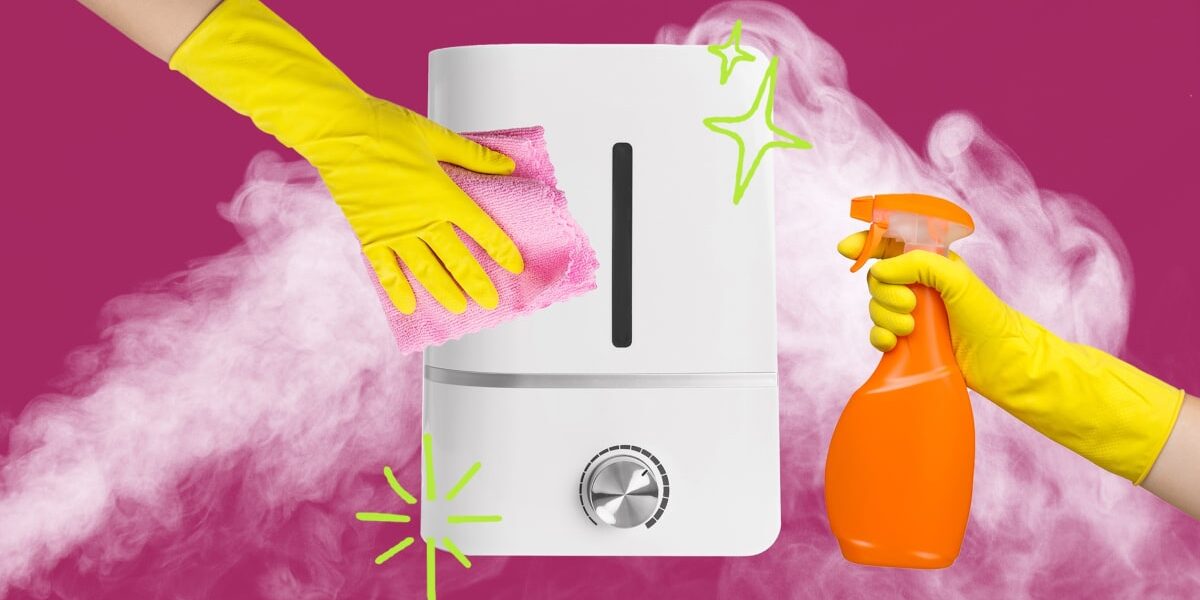 How to Clean Your Humidifier and Prevent Mold Growth How to Clean Your Humidifier and Prevent Mold Growth