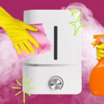 How to Clean Your Humidifier and Prevent Mold Growth