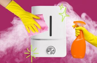 How to Clean Your Humidifier and Prevent Mold Growth How to Clean Your Humidifier and Prevent Mold Growth
