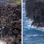 Iconic Hōlei Sea Arch Collapses Into Pacific Ocean at Hawai’i Volcanoes National Park