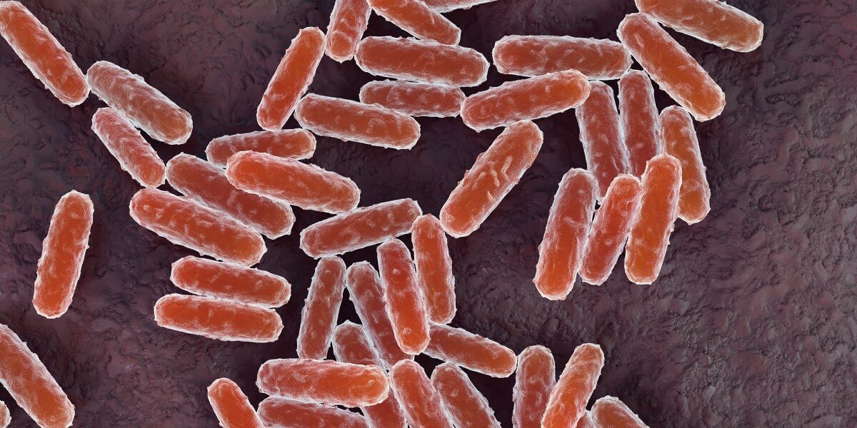 Woman in Russia Dies from Mysterious Illness; Pneumonic Plague Concerns Rise Woman in Russia Dies from Mysterious Illness; Pneumonic Plague Concerns Rise