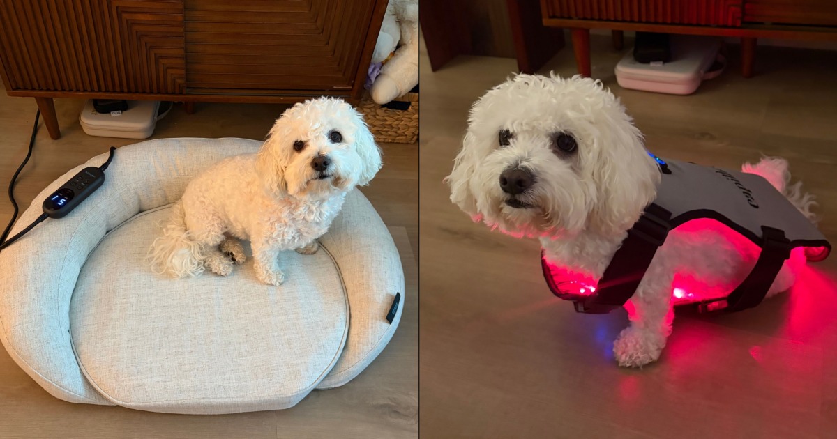 Red Light Therapy for Dogs: Benefits, Risks, and Top Devices to Try Red Light Therapy for Dogs: Benefits, Risks, and Top Devices to Try