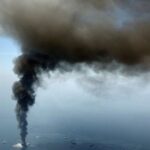 Deep-Sea Marine Life Populations Plummeted Following BP Oil Spill, Study Reveals
