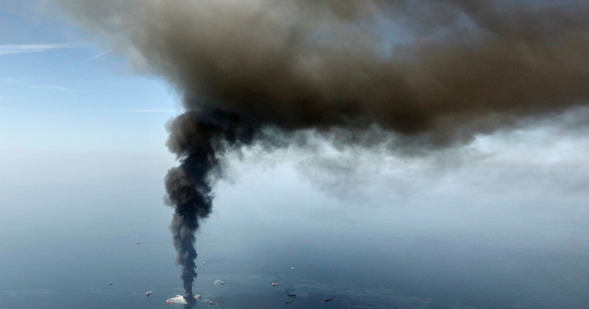 Deep-Sea Marine Life Populations Plummeted Following BP Oil Spill, Study Reveals