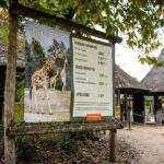 Veteran Zookeeper Dies Following Leopard Attack at Dutch Safari Park