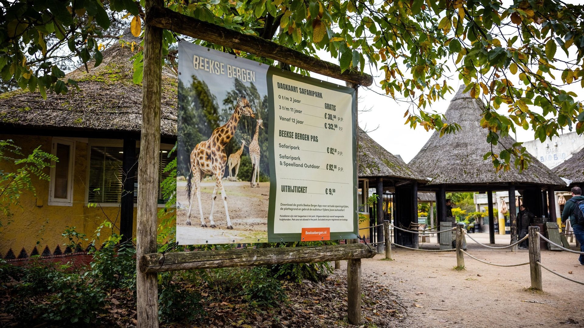 Veteran Zookeeper Dies Following Leopard Attack at Dutch Safari Park