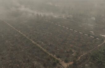 Palm Oil Industry Bolsters Fire Defenses as ‘Godzilla’ El Nino Triggers Regional Haze