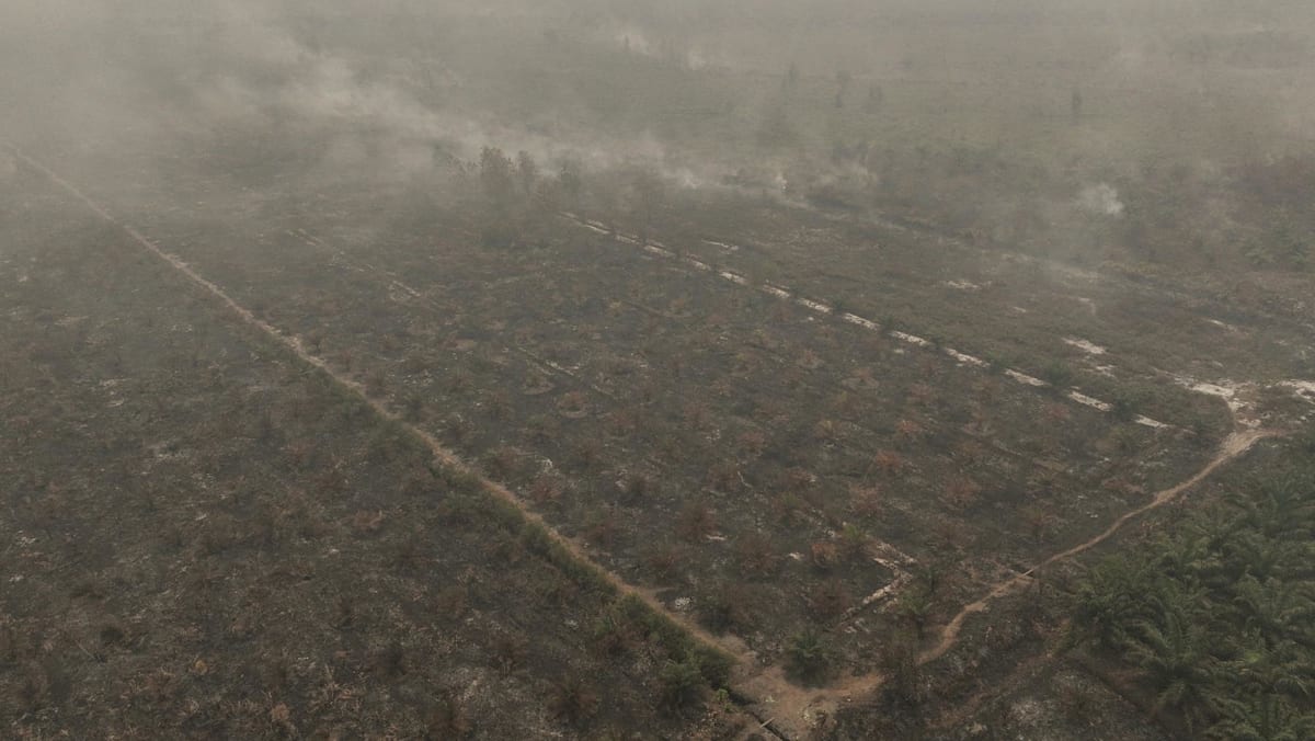 Palm Oil Industry Bolsters Fire Defenses as ‘Godzilla’ El Nino Triggers Regional Haze