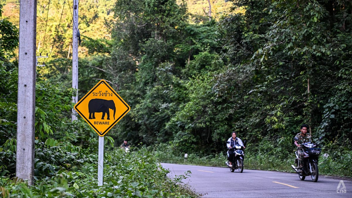 Thailand’s Industrial Boom Threatens Forests and Elephants Over Water Plans Thailand’s Industrial Boom Threatens Forests and Elephants Over Water Plans