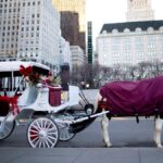 New York City Passes Romanch’s Law to Ban Historic Horse-Drawn Carriages