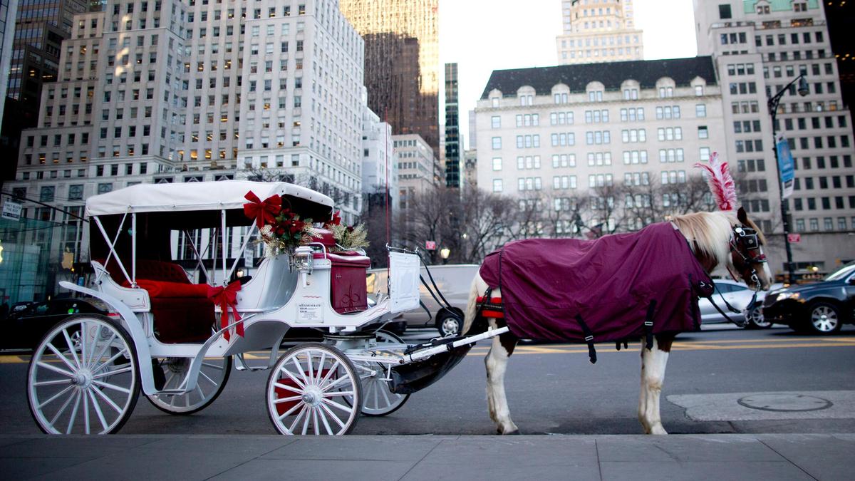 New York City Passes Romanch’s Law to Ban Historic Horse-Drawn Carriages New York City Passes Romanch’s Law to Ban Historic Horse-Drawn Carriages