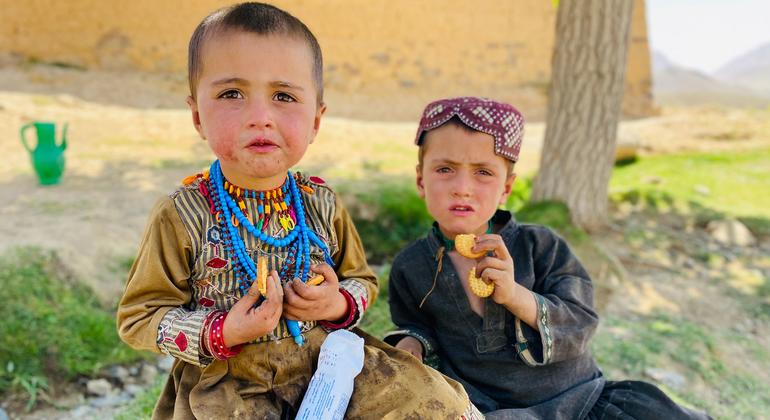 Afghanistan Faces Unprecedented Hunger Crisis Amid Escalating Human Rights Violations
