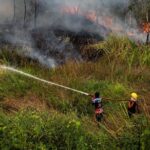 Indonesia Declines Immediate Foreign Aid for Forest Fires, Citing Domestic Capacity Indonesia Declines Immediate Foreign Aid for Forest Fires, Citing Domestic Capacity