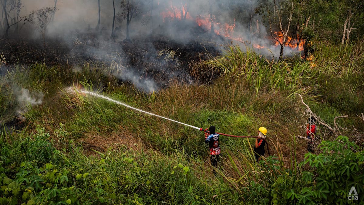 Indonesia Declines Immediate Foreign Aid for Forest Fires, Citing Domestic Capacity