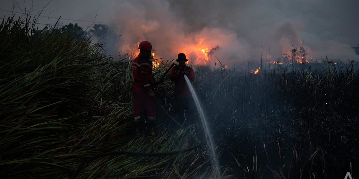 Indonesia Boosts Firefighting Efforts as Regional Aid Offers Unaddressed