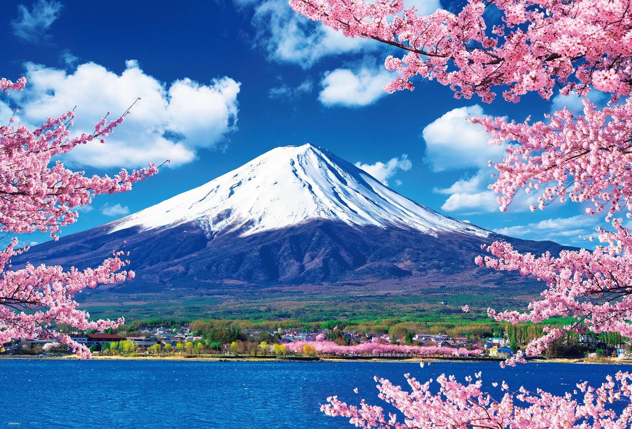 Japan Export Growth Hits 16.7% as AI Chip Demand Drives Trade Japan Export Growth Hits 16.7% as AI Chip Demand Drives Trade