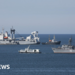 Romania Blames Russia for Fatal Black Sea Drone Strike on Cargo Ship