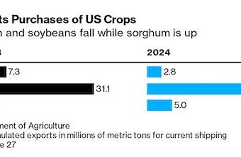 China Resumes U.S. Soybean Purchases Following Presidential Summit China Resumes U.S. Soybean Purchases Following Presidential Summit