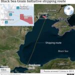Zelenskyy Seeks Transit Routes for Grain Amid Black Sea Blockade Zelenskyy Seeks Transit Routes for Grain Amid Black Sea Blockade