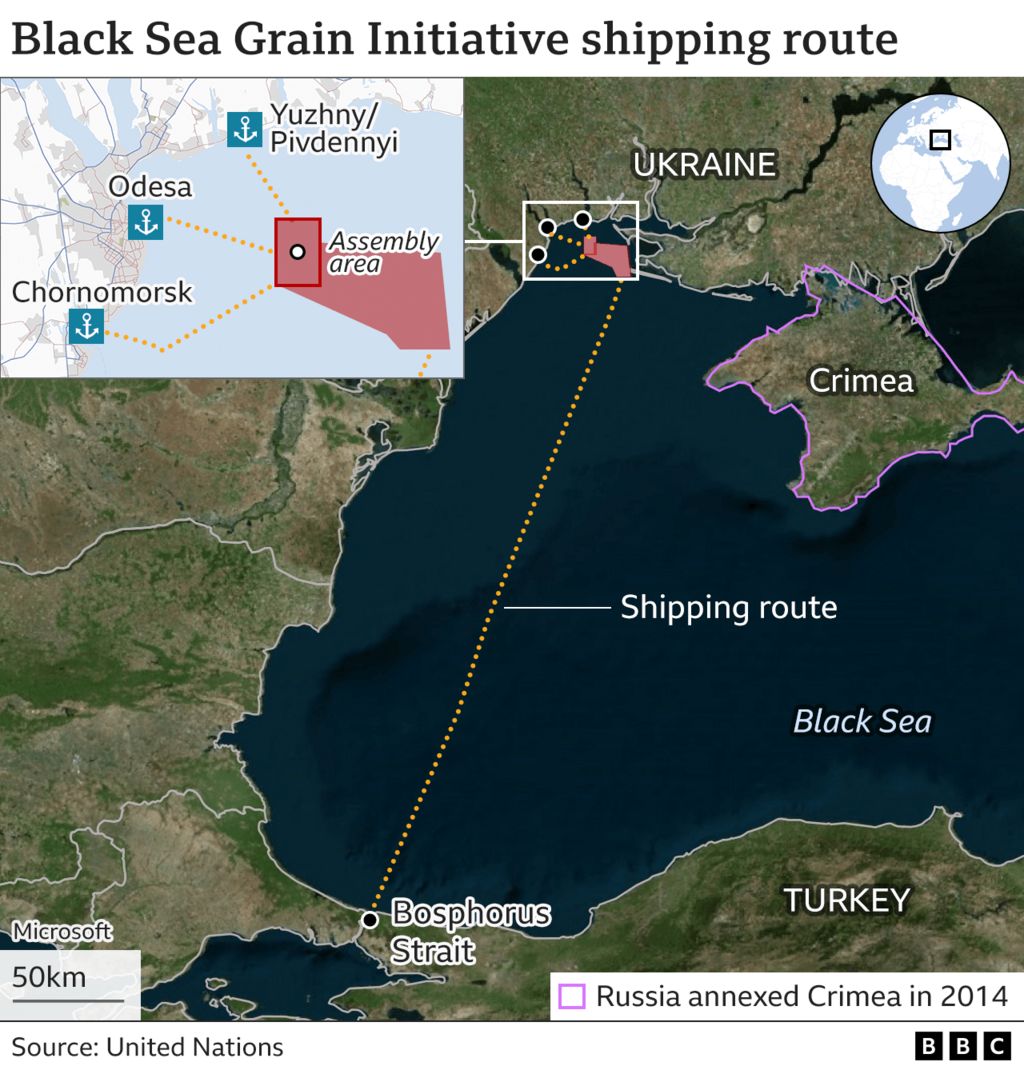 Zelenskyy Seeks Transit Routes for Grain Amid Black Sea Blockade