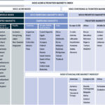 Understanding MSCI Market Classifications: A Guide to Global Index Standards Understanding MSCI Market Classifications: A Guide to Global Index Standards