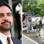 NYC Set to Ban Iconic Central Park Horse-Drawn Carriages by 2028 NYC Set to Ban Iconic Central Park Horse-Drawn Carriages by 2028