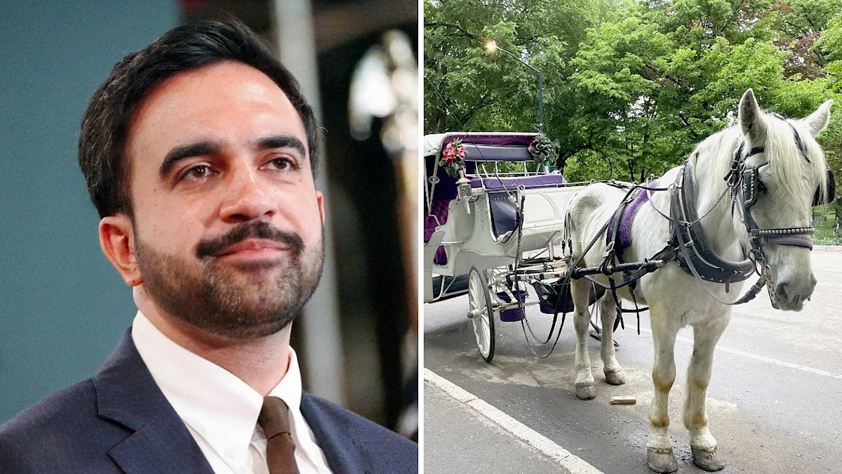 NYC Set to Ban Iconic Central Park Horse-Drawn Carriages by 2028 NYC Set to Ban Iconic Central Park Horse-Drawn Carriages by 2028