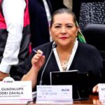 Mexico Electoral Chief Guadalupe Taddei Resigns Amid Corruption Scandal Mexico Electoral Chief Guadalupe Taddei Resigns Amid Corruption Scandal