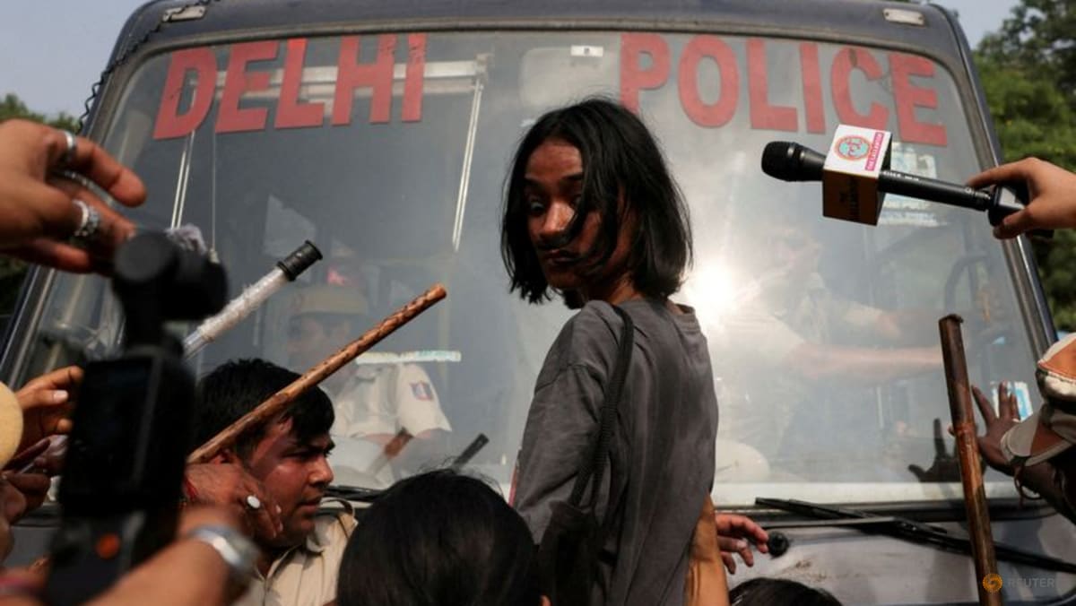 New Delhi Tightens Security as ‘Cockroach’ Movement Protests Voter List Revisions