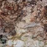 Ancient Sulawesi Cave Art Faces Destruction from Indonesia’s Worst Wildfires Ancient Sulawesi Cave Art Faces Destruction from Indonesia’s Worst Wildfires