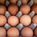 POLICY WIRE FACT CHECK: Are lab-grown eggs being sold in U.S. stores? Here are the facts
