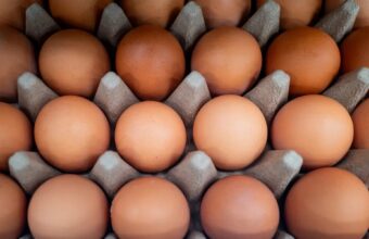 POLICY WIRE FACT CHECK: Are lab-grown eggs being sold in U.S. stores? Here are the facts POLICY WIRE FACT CHECK: Are lab-grown eggs being sold in U.S. stores? Here are the facts