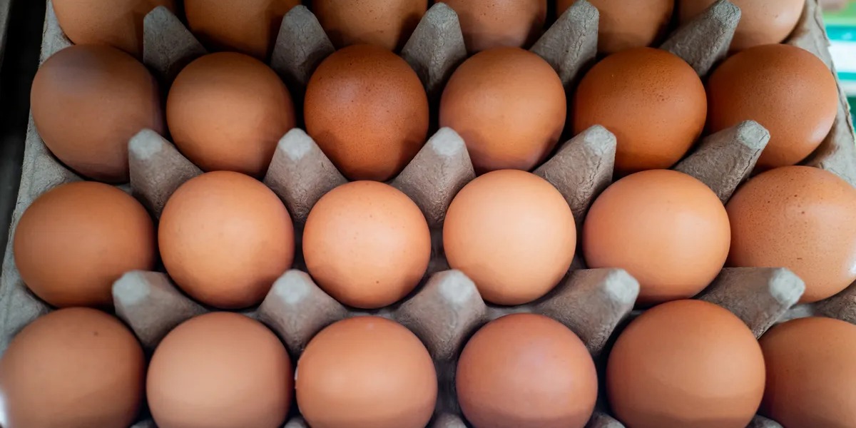POLICY WIRE FACT CHECK: Are lab-grown eggs being sold in U.S. stores? Here are the facts