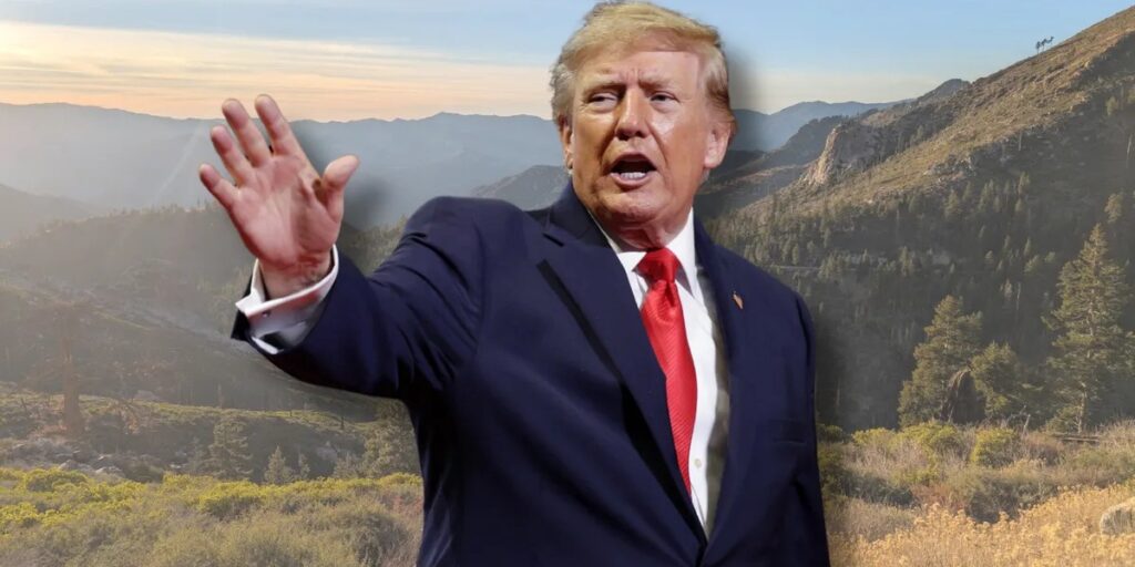 POLICY WIRE FACT CHECK: Viral Claims Regarding Federal Logging Orders Exaggerate Scope of Land Exposure