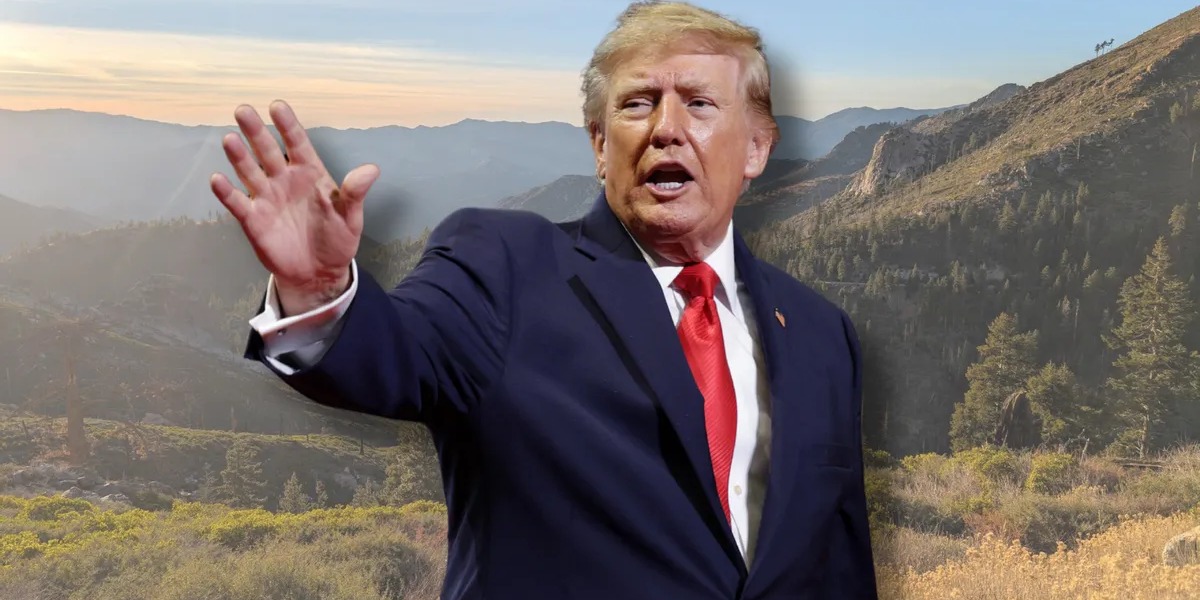 POLICY WIRE FACT CHECK: Viral Claims Regarding Federal Logging Orders Exaggerate Scope of Land Exposure