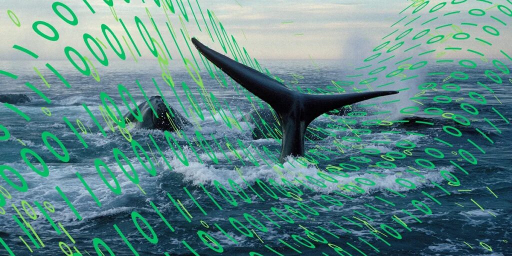 POLICY WIRE FACT CHECK: Proposed Maine Underwater Data Center Project Faces Regulatory Hurdles Amid Environmental Concerns POLICY WIRE FACT CHECK: Proposed Maine Underwater Data Center Project Faces Regulatory Hurdles Amid Environmental Concerns