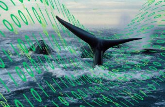 POLICY WIRE FACT CHECK: Proposed Maine Underwater Data Center Project Faces Regulatory Hurdles Amid Environmental Concerns