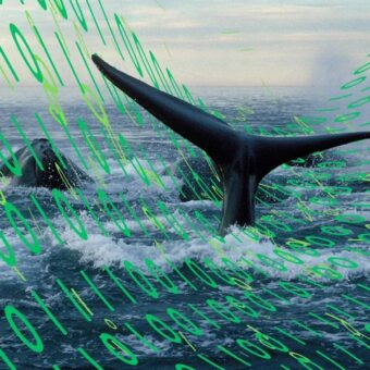 POLICY WIRE FACT CHECK: Proposed Maine Underwater Data Center Project Faces Regulatory Hurdles Amid Environmental Concerns POLICY WIRE FACT CHECK: Proposed Maine Underwater Data Center Project Faces Regulatory Hurdles Amid Environmental Concerns