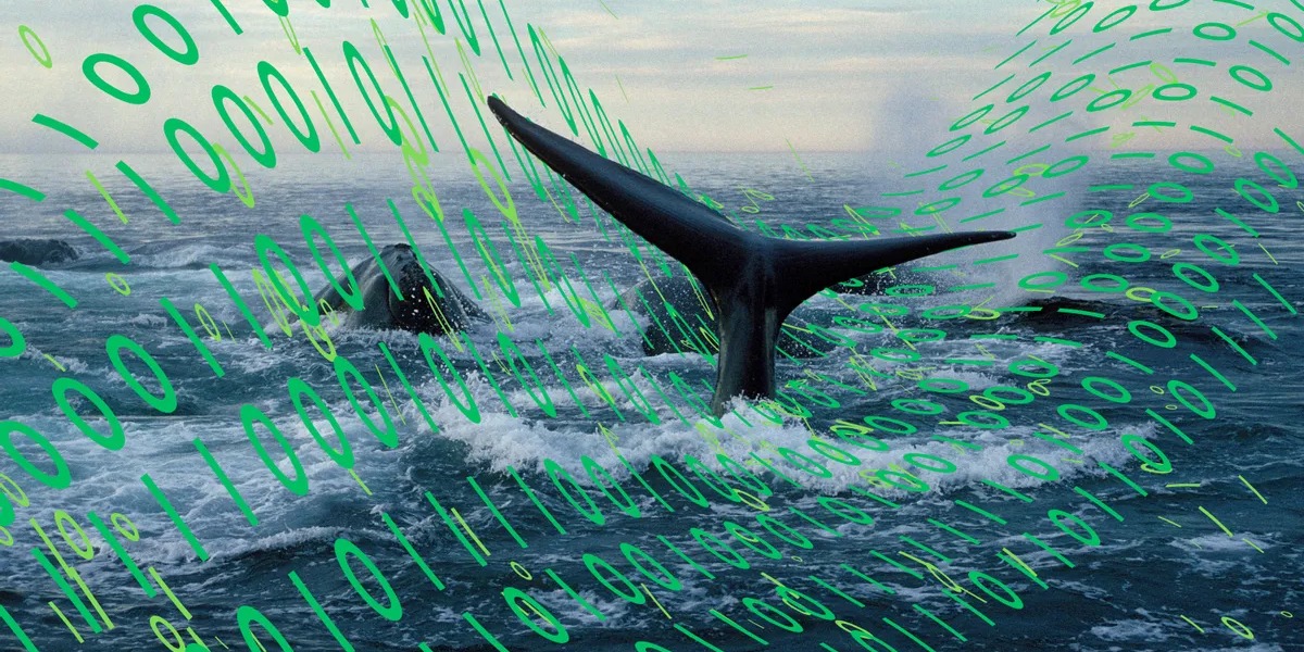 POLICY WIRE FACT CHECK: Proposed Maine Underwater Data Center Project Faces Regulatory Hurdles Amid Environmental Concerns POLICY WIRE FACT CHECK: Proposed Maine Underwater Data Center Project Faces Regulatory Hurdles Amid Environmental Concerns