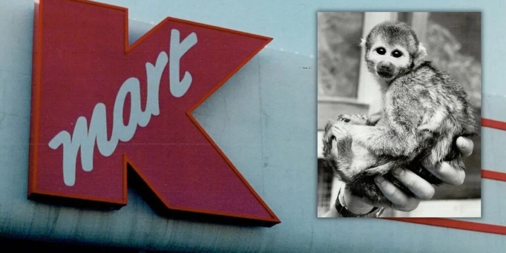 POLICY WIRE FACT CHECK: Did Kmart Sell Pet Monkeys in the 1960s? POLICY WIRE FACT CHECK: Did Kmart Sell Pet Monkeys in the 1960s?
