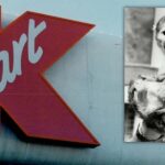 POLICY WIRE FACT CHECK: Did Kmart Sell Pet Monkeys in the 1960s? POLICY WIRE FACT CHECK: Did Kmart Sell Pet Monkeys in the 1960s?