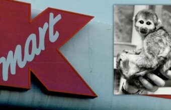 POLICY WIRE FACT CHECK: Did Kmart Sell Pet Monkeys in the 1960s?