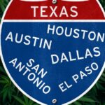 POLICY WIRE FACT CHECK: Did Texas Make Marijuana Possession a Felony After 70% Voter Support? The Truth Behind the Viral Claim POLICY WIRE FACT CHECK: Did Texas Make Marijuana Possession a Felony After 70% Voter Support? The Truth Behind the Viral Claim