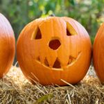 POLICY WIRE FACT CHECK: The Origins of the Jack-o’-Lantern and the Myth of Pumpkin Exclusivity