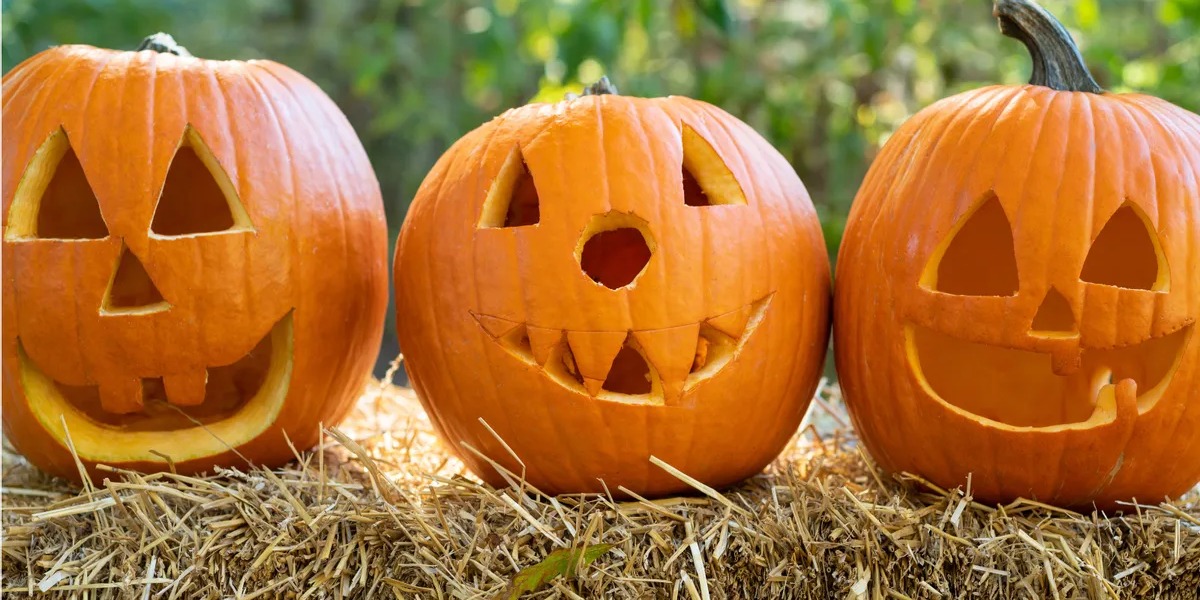 POLICY WIRE FACT CHECK: The Origins of the Jack-o’-Lantern and the Myth of Pumpkin Exclusivity