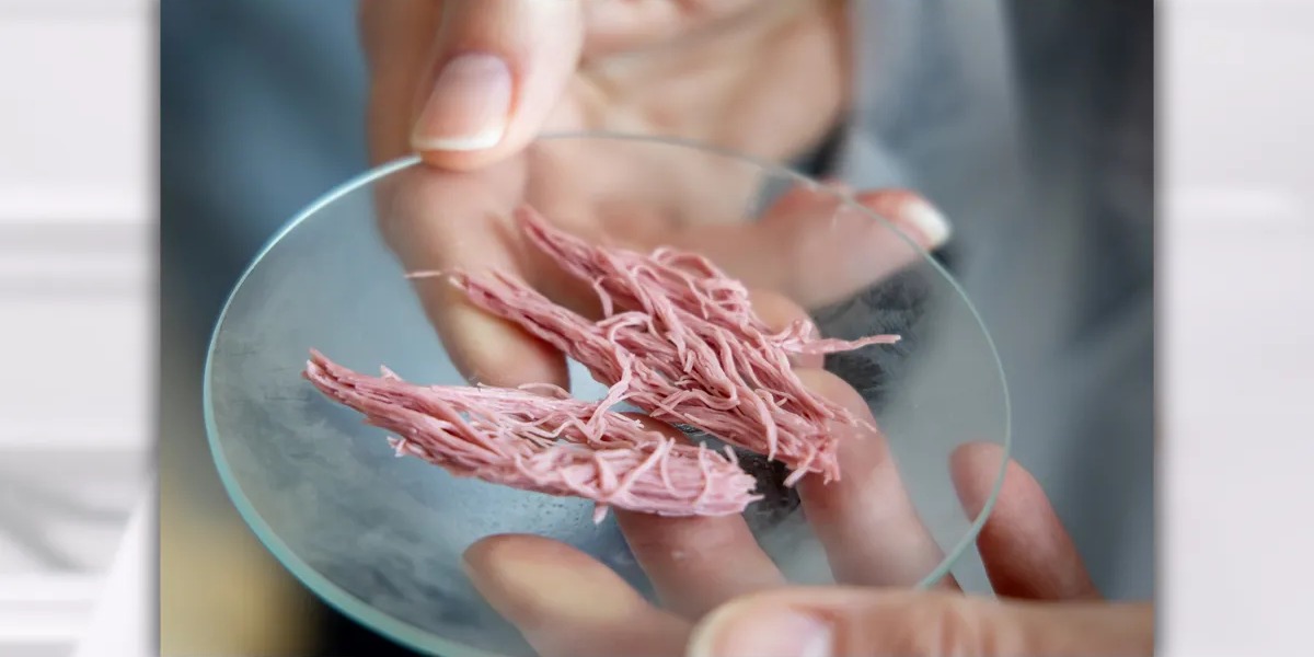 POLICY WIRE FACT CHECK: Are US stores selling 3D-printed meat? POLICY WIRE FACT CHECK: Are US stores selling 3D-printed meat?
