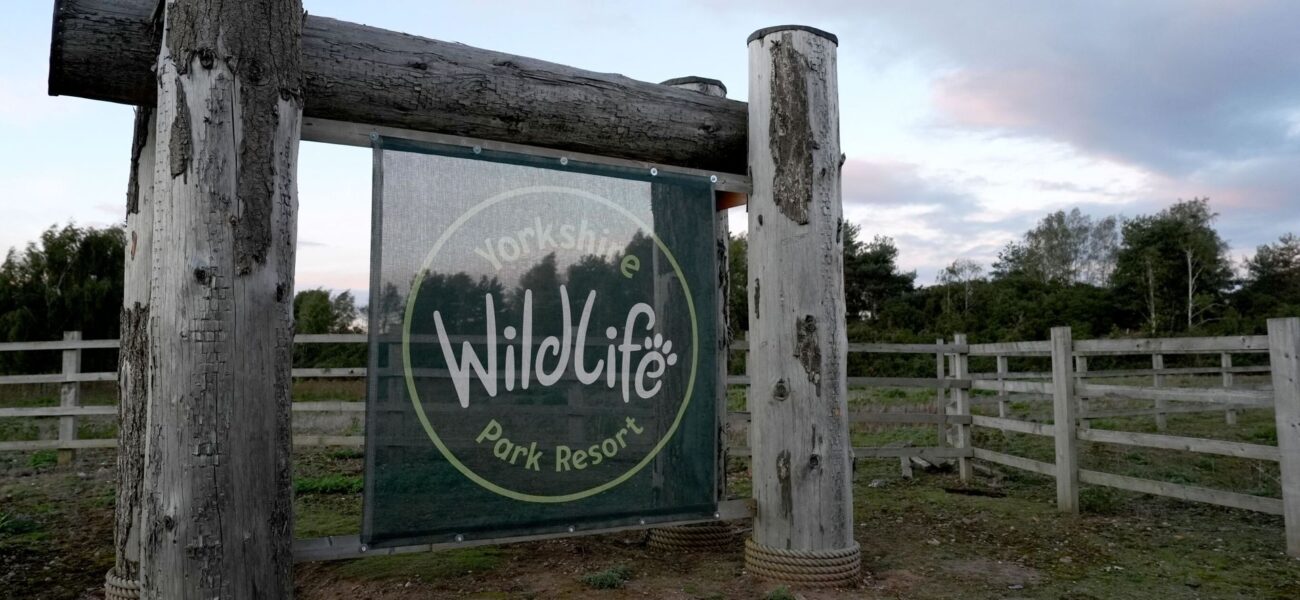 UK Wildlife Park Remains Closed Following Fatal Tiger Attack