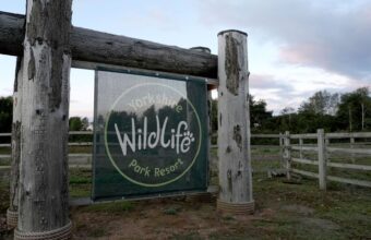UK Wildlife Park Remains Closed Following Fatal Tiger Attack UK Wildlife Park Remains Closed Following Fatal Tiger Attack
